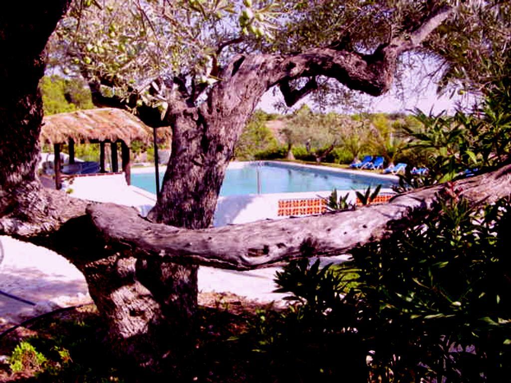 The Sea Garden Hotel & Resort L'Ampolla Bagian luar foto